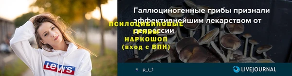 ГАЛЛЮЦИНОГЕННЫЕ ГРИБЫ Навашино