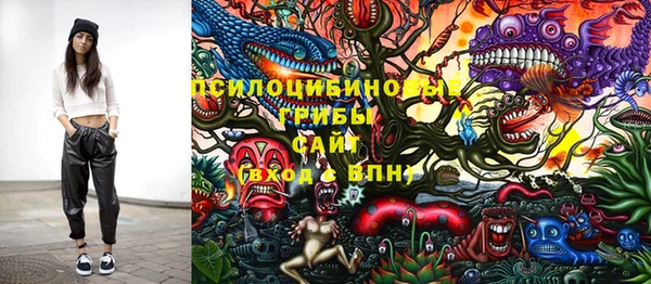 прущие крисы Надым