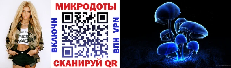 Псилоцибиновые грибы Magic Shrooms  shop наркотические препараты  Тайшет  ОМГ ОМГ зеркало 